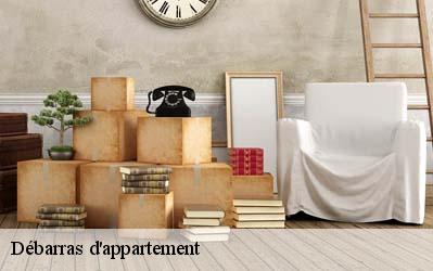 Débarras d'appartement  45500