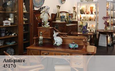 Antiquaire  45170