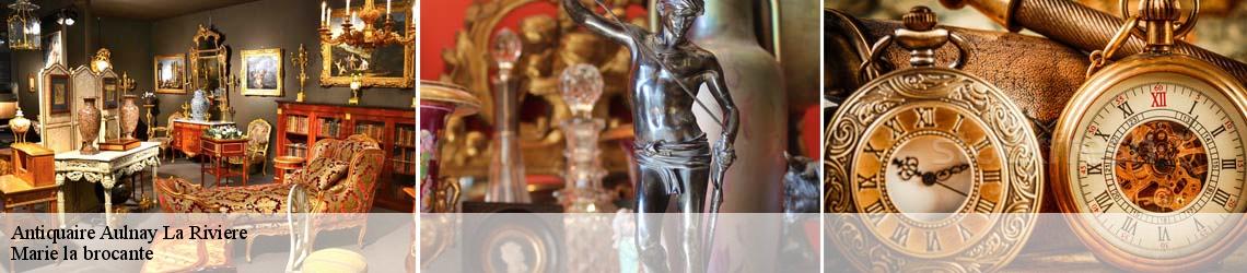 Antiquaire  aulnay-la-riviere-45390 Marie la brocante