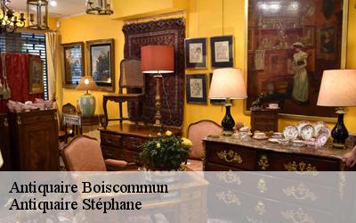 Antiquaire  45340