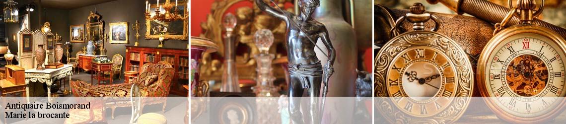 Antiquaire  boismorand-45290 Marie la brocante