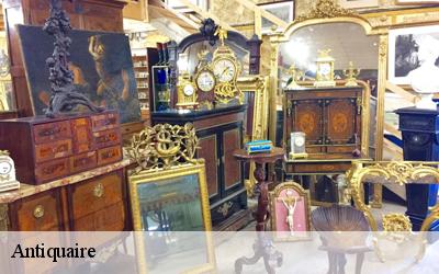 Antiquaire  45360