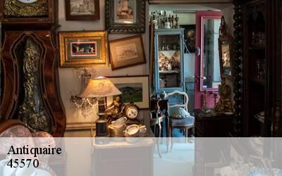 Antiquaire  45570