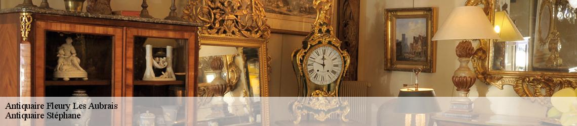 Antiquaire  fleury-les-aubrais-45400 Antiquaire Stéphane 