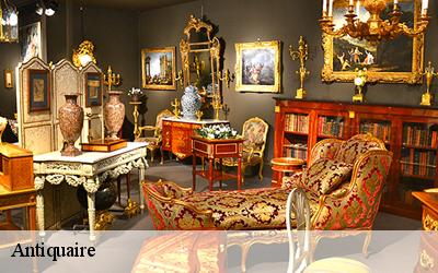Antiquaire  45470