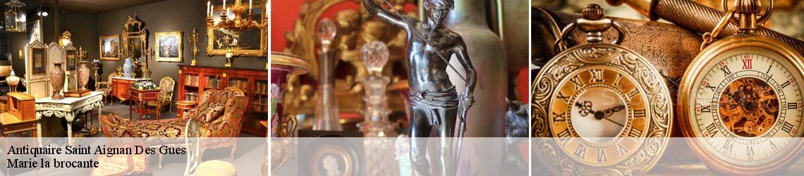 Antiquaire  saint-aignan-des-gues-45460 Marie la brocante