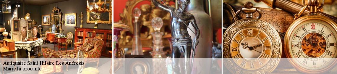Antiquaire  saint-hilaire-les-andresis-45320 Marie la brocante